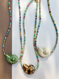 Solana Shell Necklace