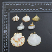 Natural Seashell Pendant Charms