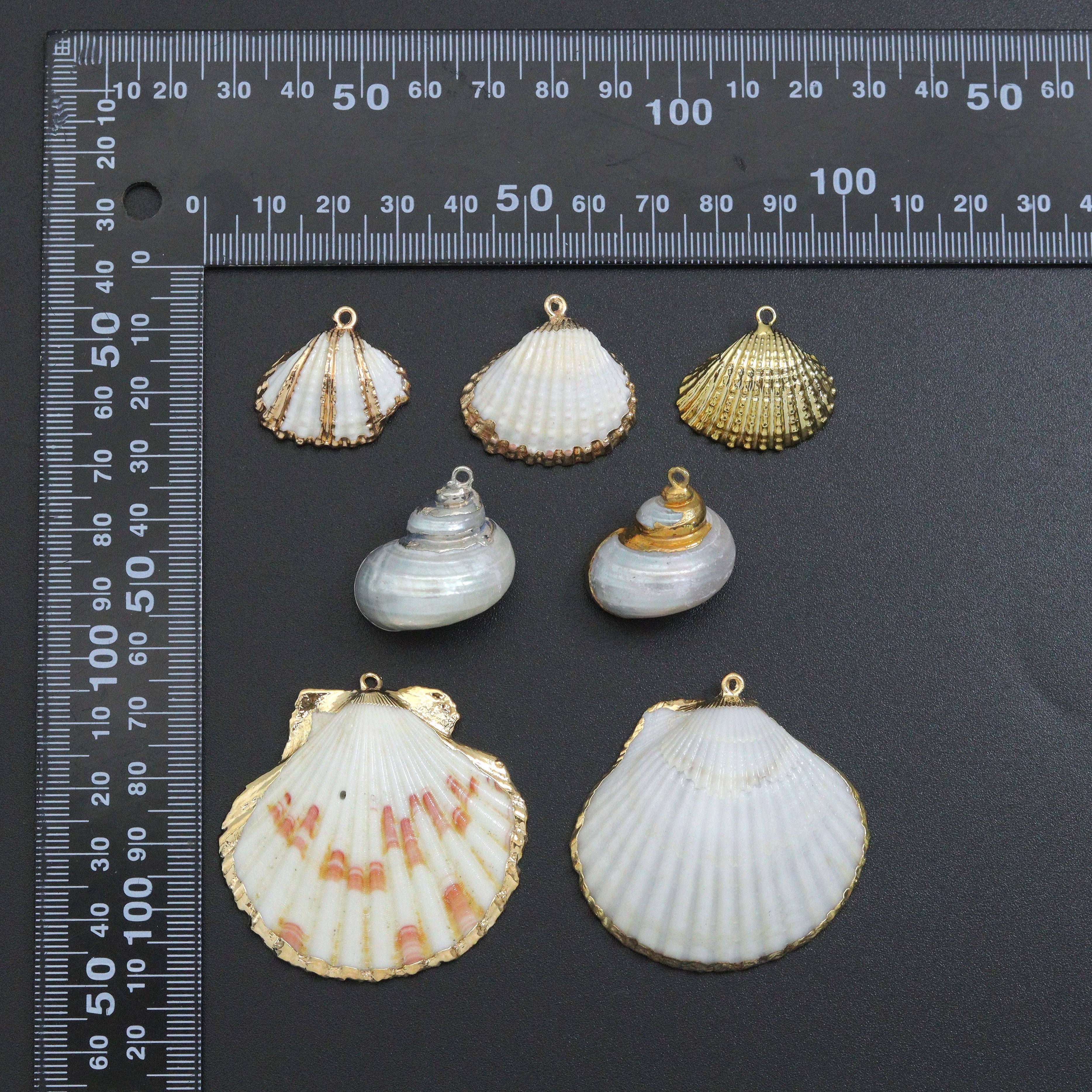Natural Seashell Pendant Charms