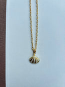 Gold Chain with Shell Charm