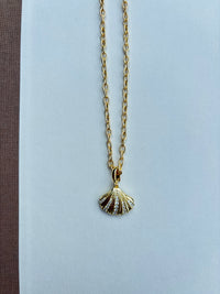 Gold Chain with Shell Charm