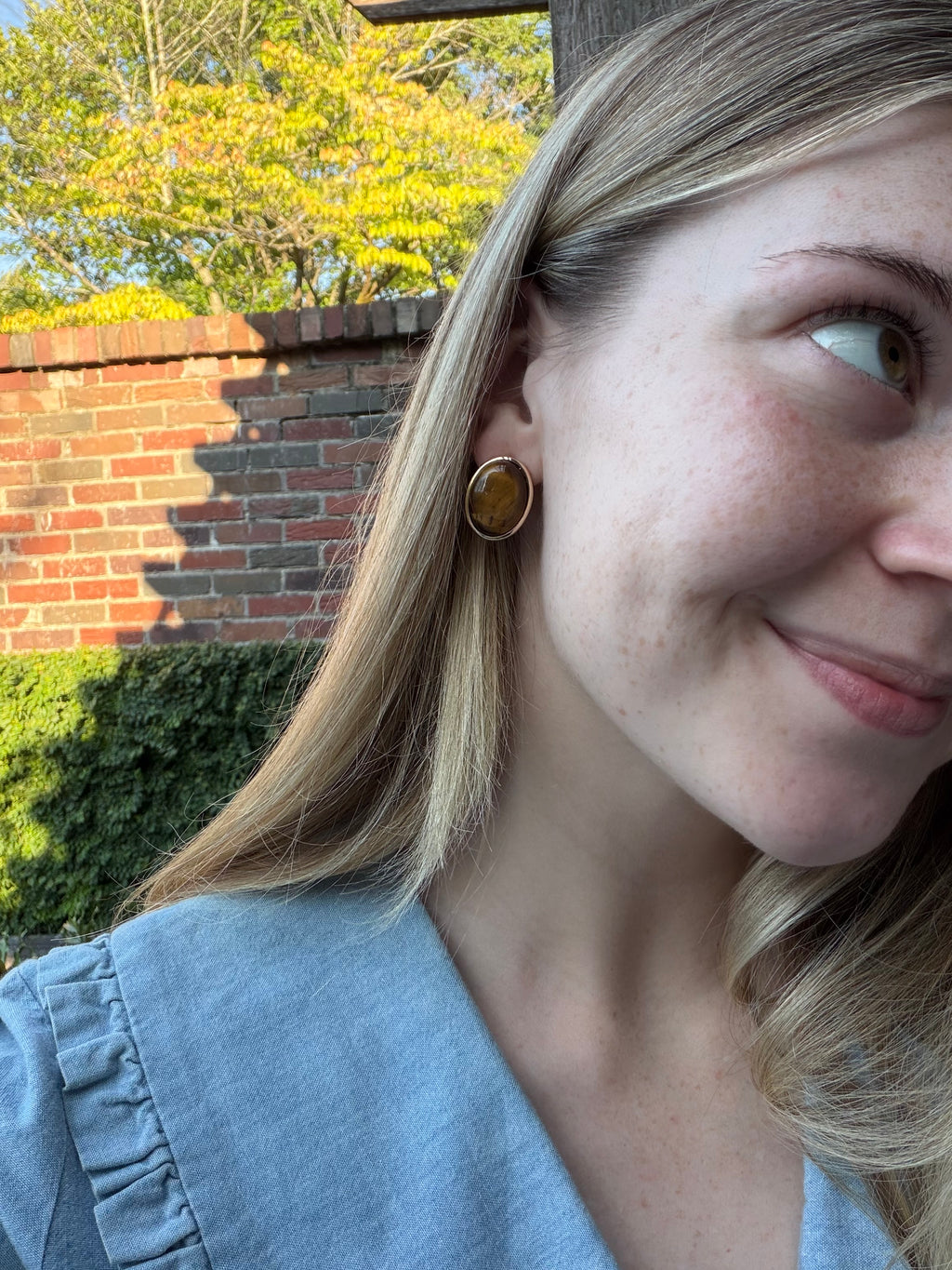 Oval Tiger Eye Stud Earrings