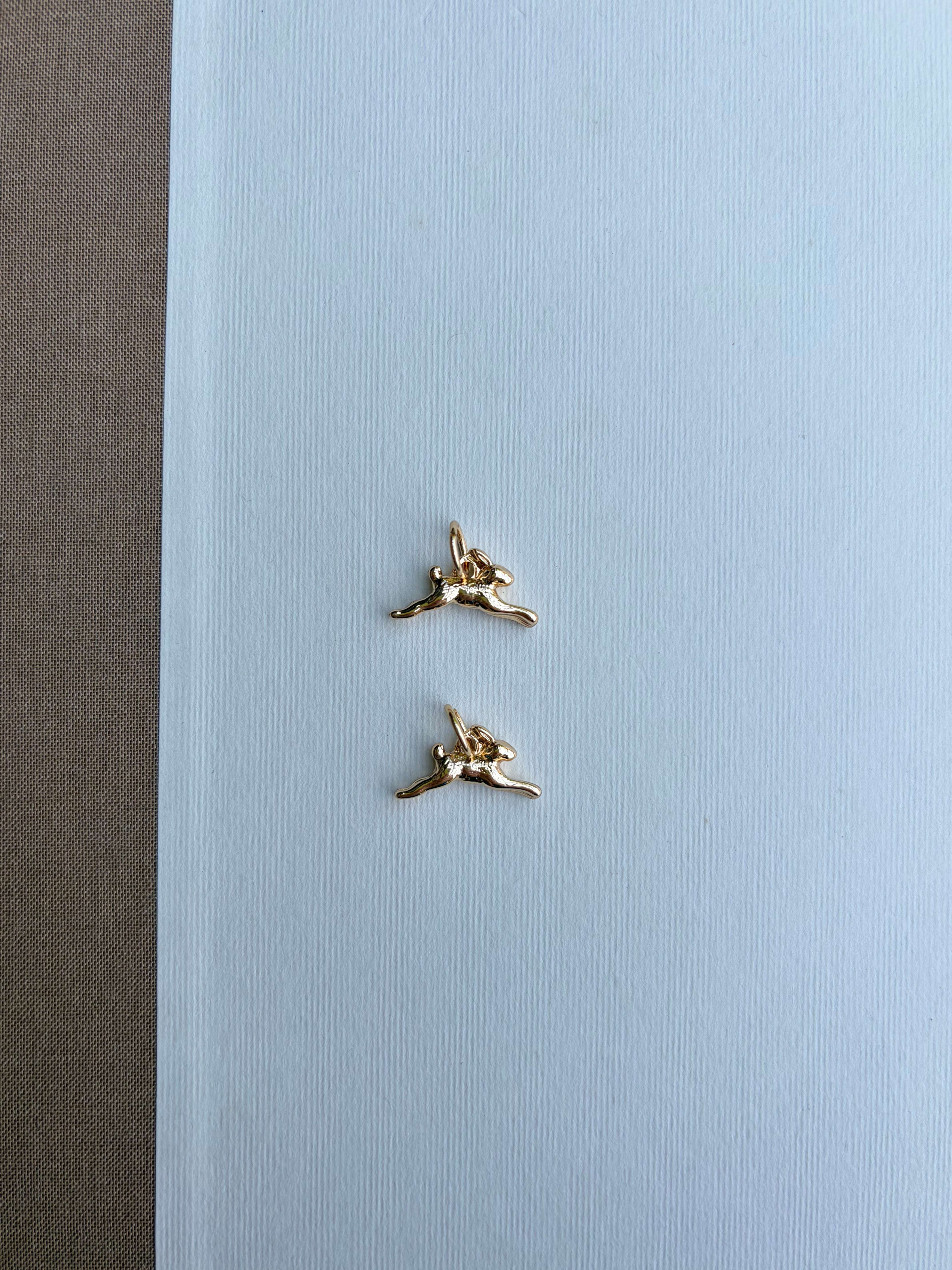 Lucky Rabbit Charm