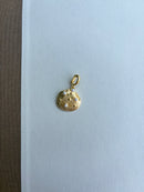 Sea Shell with Pearls