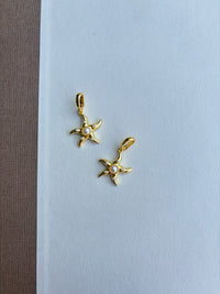 Star Fish with Pearl