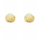 Gold Dipped Shell Stud Earrings