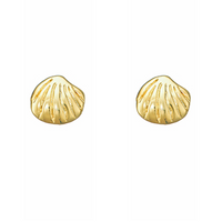 Gold Dipped Shell Stud Earrings