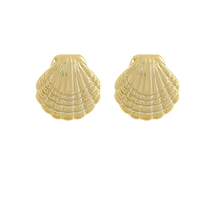 Shell Shape Earrings