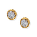 Small Wonder Studs