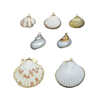 Natural Seashell Pendant Charms