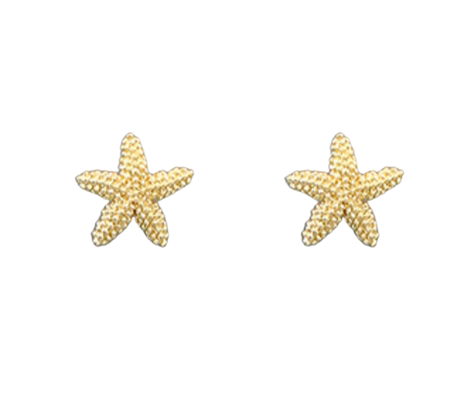 Brass Starfish Studs