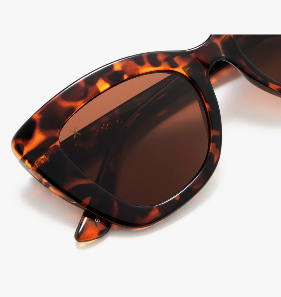 beverly: tortoise + brown sunglasses