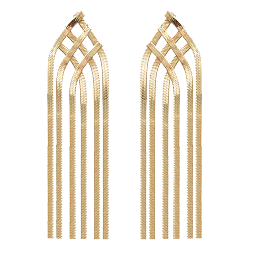 Snake Chain Fringe Earrings