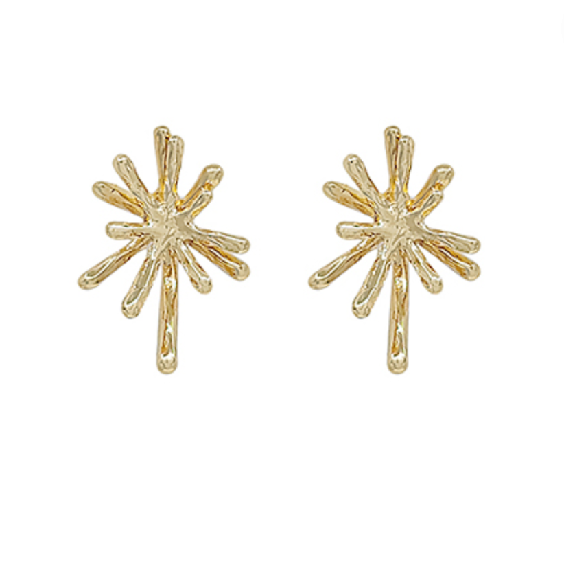 Star Burst Earrings