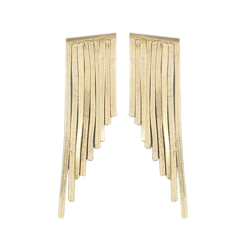 Metal Fringe Earrings